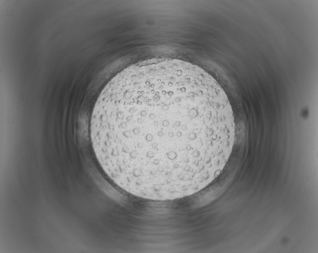 X0000116820238201001291629