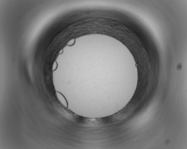 X0000116820239201001291628