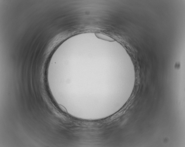 X0000116820242201001291628