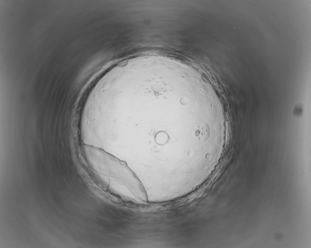 X0000116820243201001291628