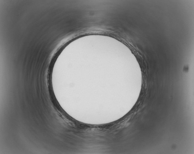 X0000116820244201001291628