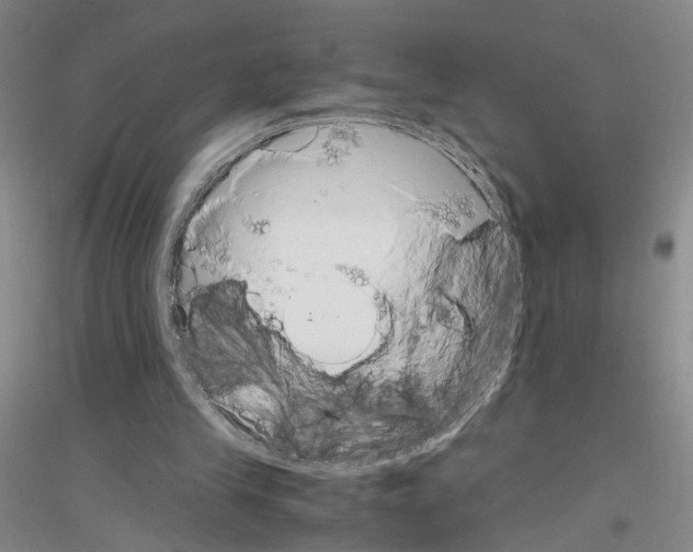 X0000116820245201001291628