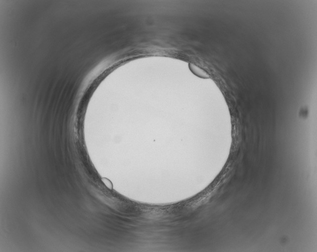 X0000116820246201001291628