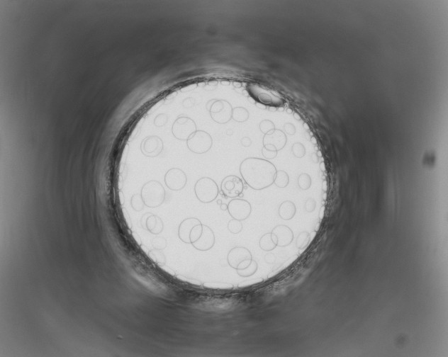 X0000116820247201001291628