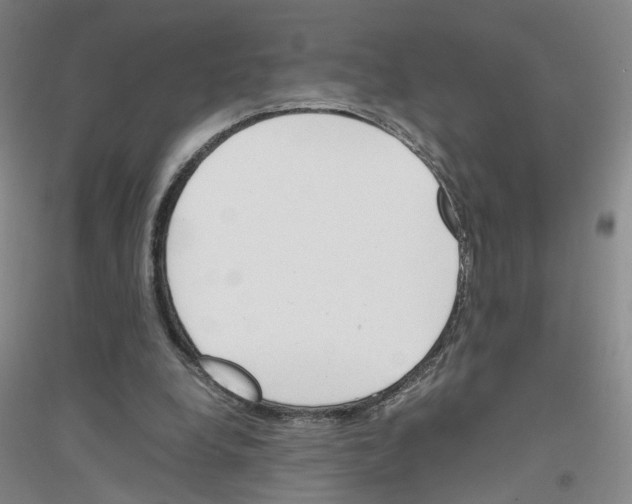 X0000116820248201001291628