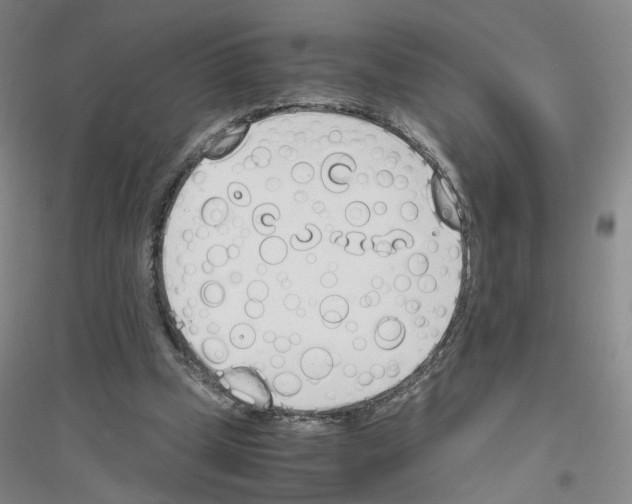 X0000116820249201001291628