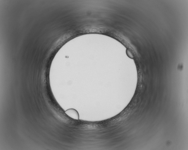 X0000116820250201001291628