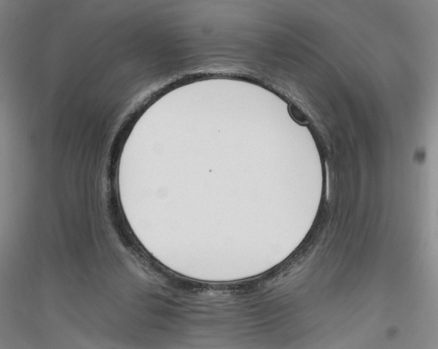 X0000116820252201001291628