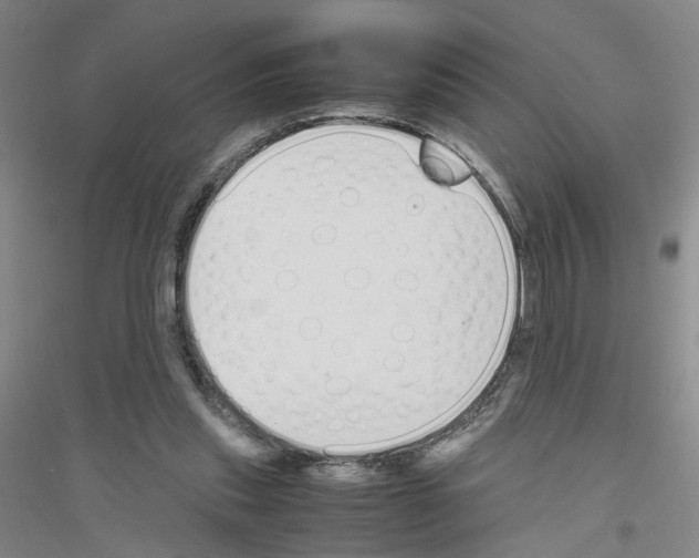 X0000116820253201001291628