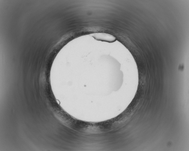 X0000116820256201001291628