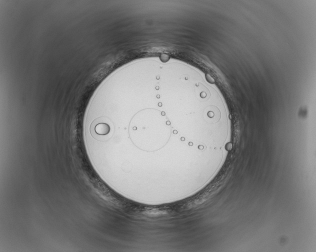 X0000116820257201001291628