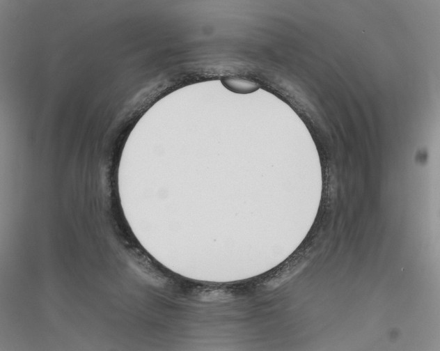 X0000116820258201001291628