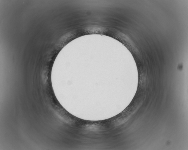 X0000116820259201001291628