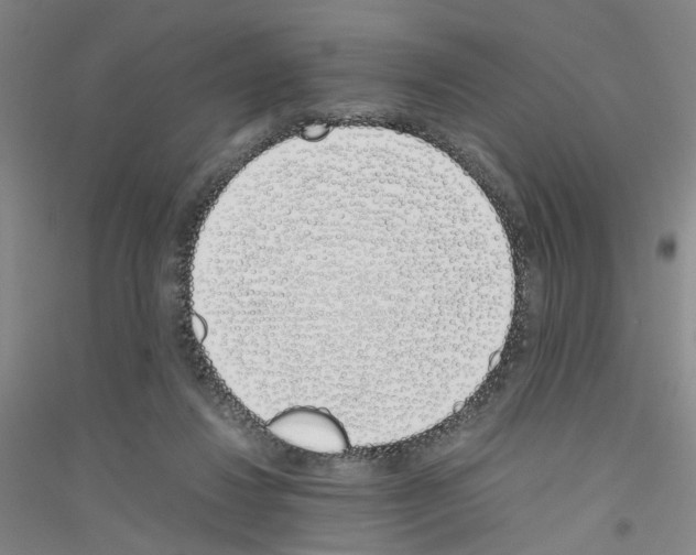 X0000116820260201001291628