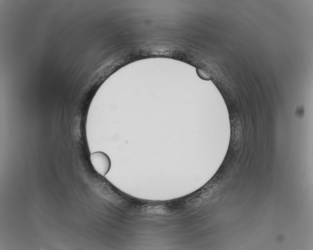 X0000116820262201001291628