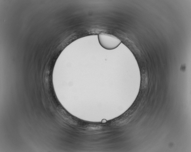 X0000116820263201001291628