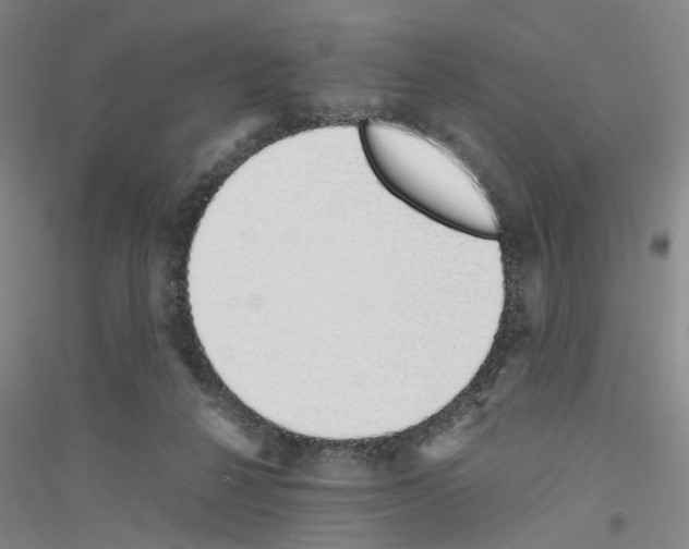 X0000116820264201001291628