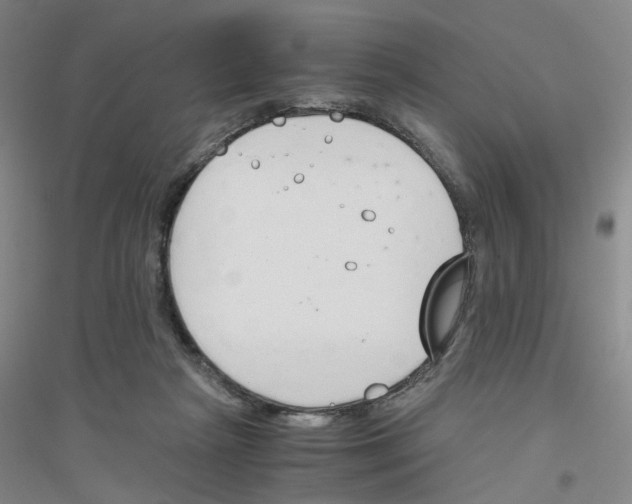 X0000116820265201001291628