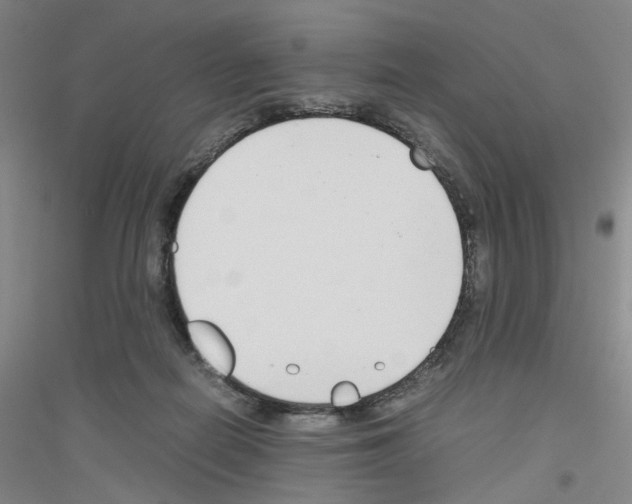 X0000116820266201001291628