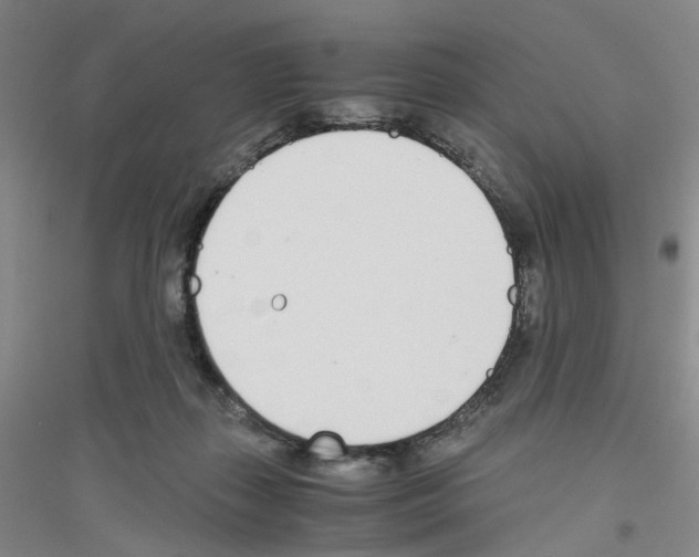 X0000116820267201001291628