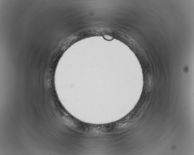 X0000116820268201001291628