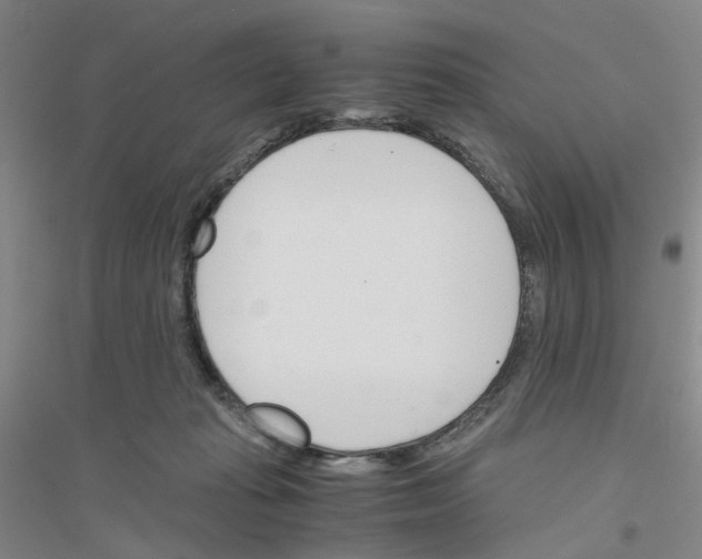 X0000116820269201001291628