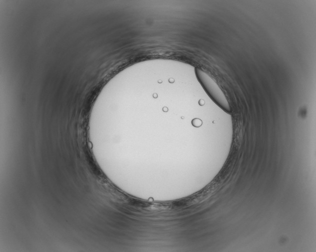 X0000116820270201001291628