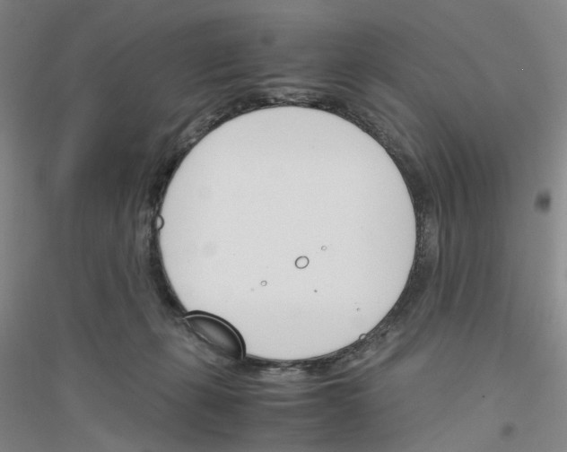 X0000116820271201001291628