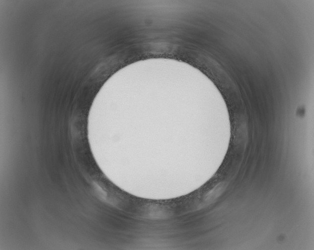 X0000116820272201001291628