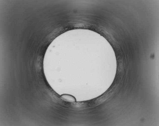 X0000116820273201001291628