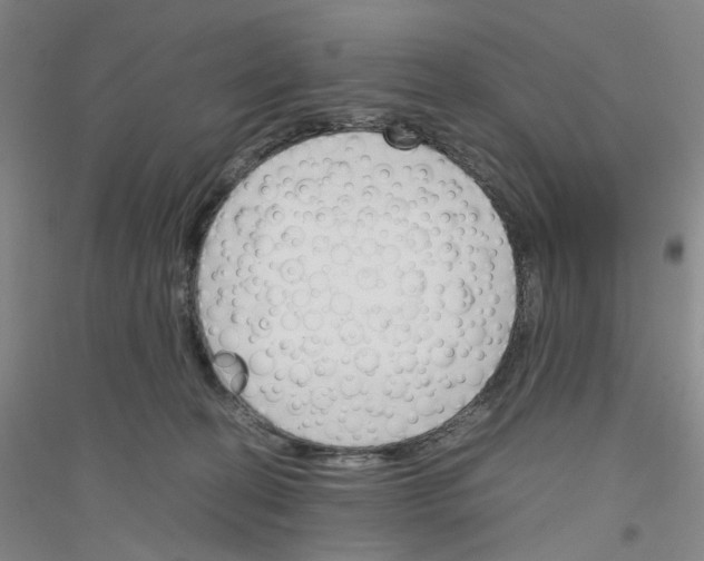 X0000116820274201001291628