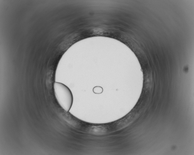 X0000116820275201001291628