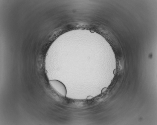 X0000116820276201001291628