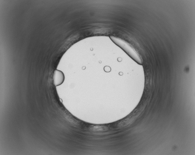 X0000116820277201001291628