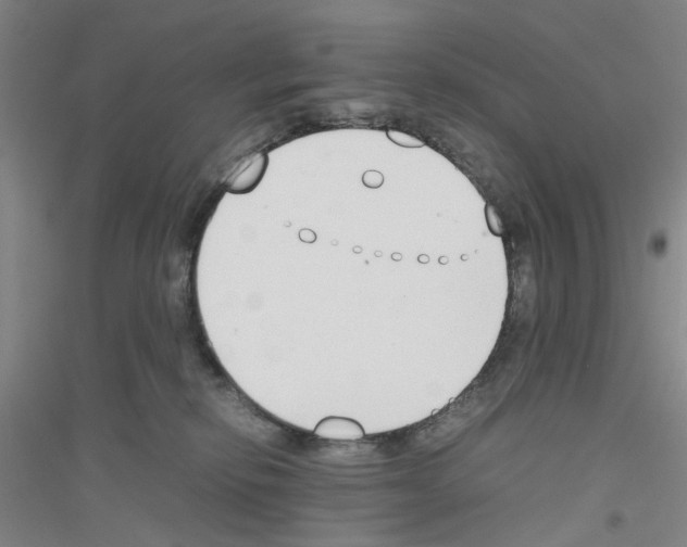 X0000116820278201001291628