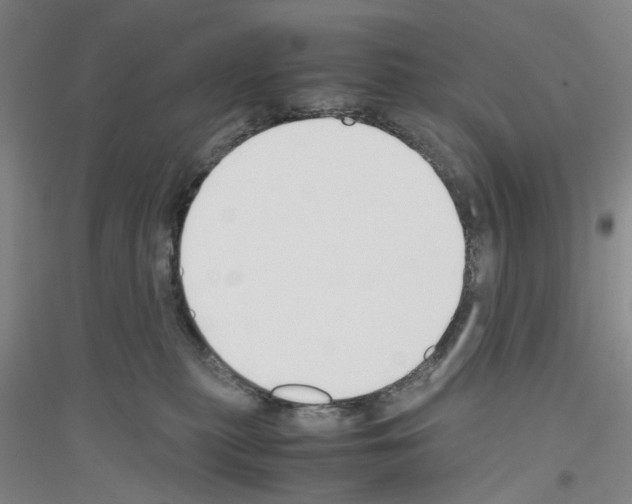 X0000116820279201001291628