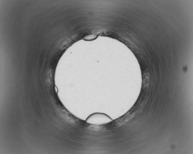 X0000116820280201001291628