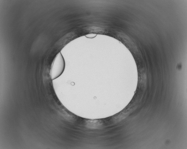 X0000116820281201001291628