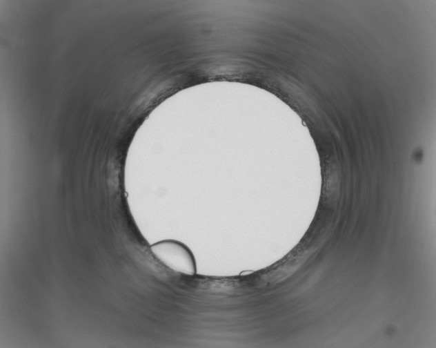 X0000116820282201001291628