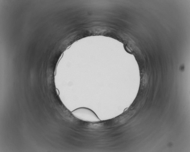 X0000116820283201001291628