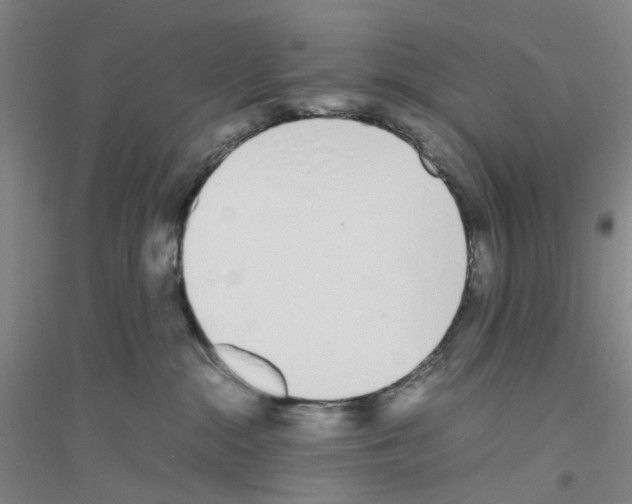 X0000116820284201001291628