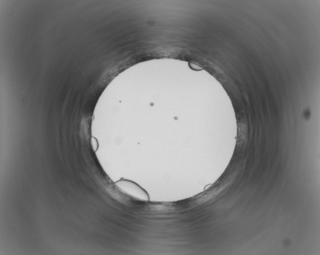 X0000116820286201001291628