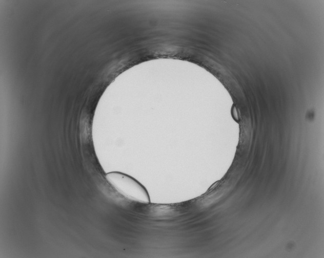 X0000116820287201001291628