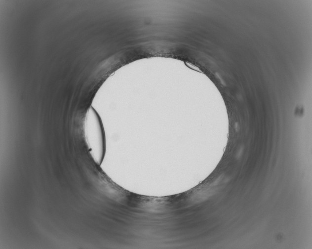 X0000116820288201001291628