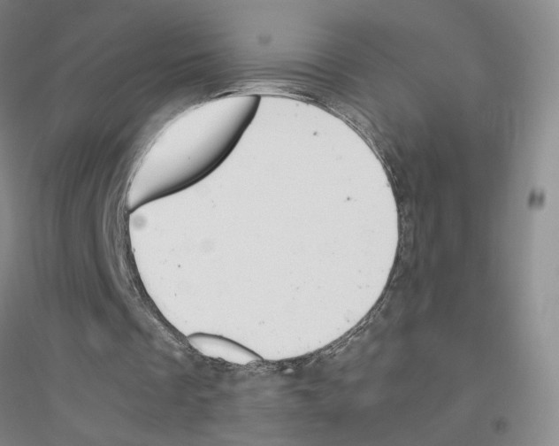 X0000116820289201001291628