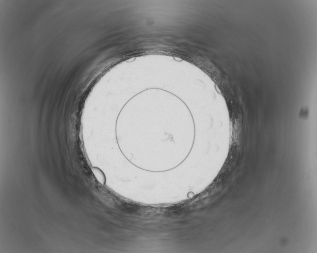 X0000116820291201001291628