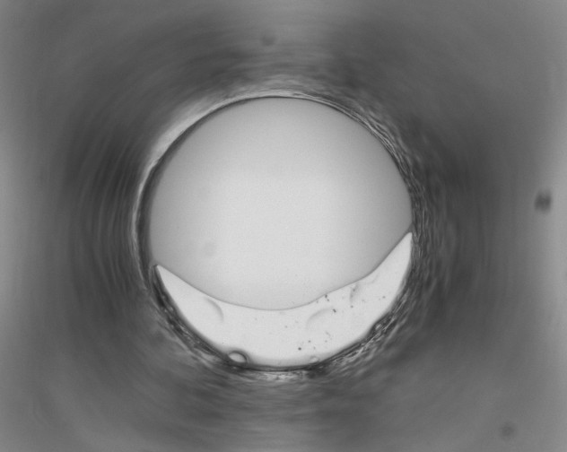 X0000116820292201001291628