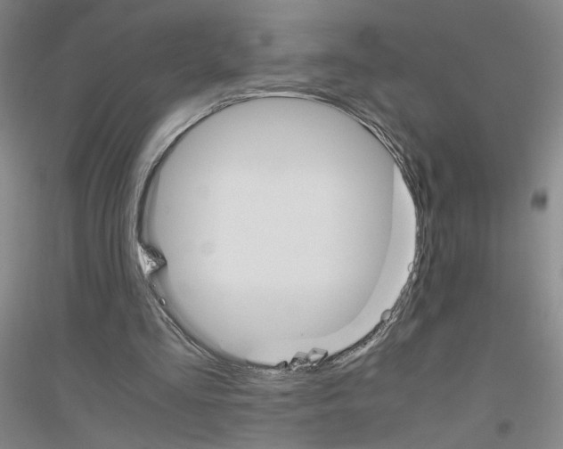 X0000116820293201001291628