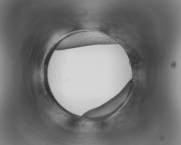 X0000116820294201001291628