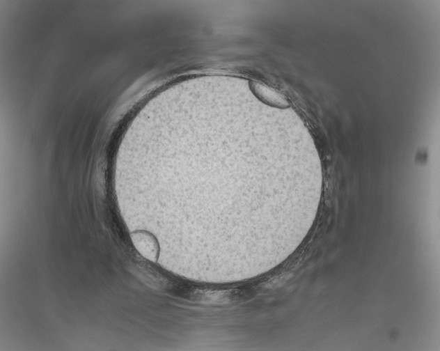 X0000116820295201001291628